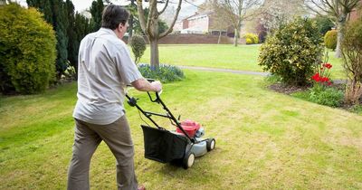 'My neighbour forcibly mows my lawn then demands payment - I don't know what to do'