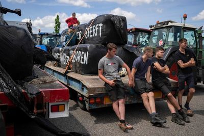 Dutch farm minister resigns after protests over pollution