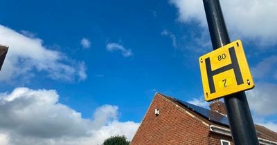 People in disbelief after just finding out the meaning of 'H' signs on lampposts