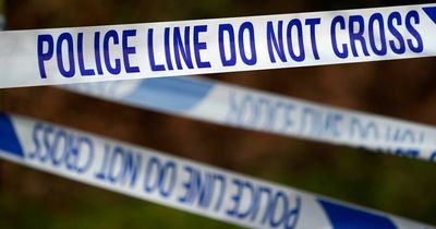 Cops hunt youths who fled scene of deliberate car fire in Lanarkshire