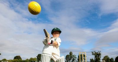 Meet the cricket sensation aged three who started playing before he could walk