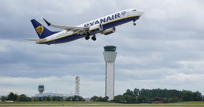 What are the rules on E-cigs, electronics, pets and loved-ones' ashes on Ryanair flights? Check out our guide here