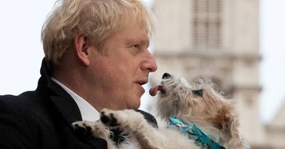 Boris Johnson dotes on his dog and Larry the Cat in final speech - but doesn't mention Carrie
