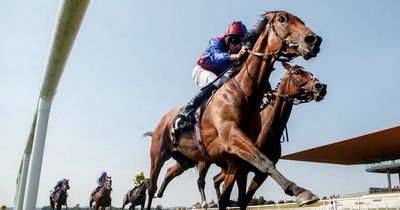 Ryan Moore wary of Vadeni in Irish Champion Stakes but expects Luxembourg to improve