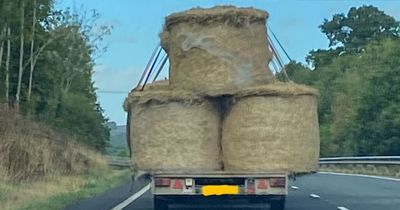 Driver stopped by police after carrying huge bales of hay on dual carriageway
