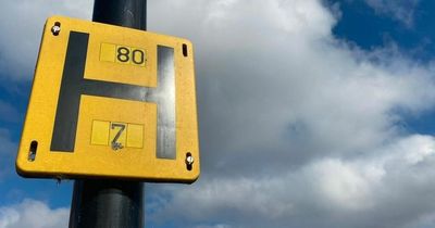H signs on lampposts actual meaning leaves people taken aback
