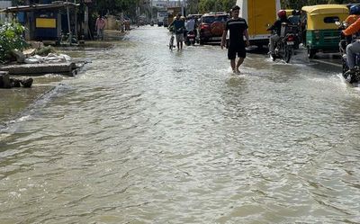 Bengaluru rain aftermath: Doctors warn of possible outbreak of communicable diseases