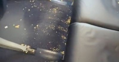 Ryanair passengers slam 'dirtiest' flight ever but people rush to defend airline