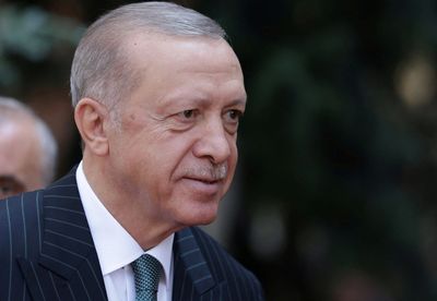 Turkey's Erdogan says 'Europe reaping what it sowed' on energy crisis