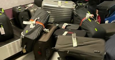 Baggage handler warns some suitcases are more likely to be 'tossed' around the airport