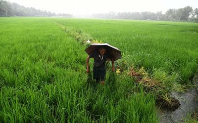 Red alert in three Kerala districts