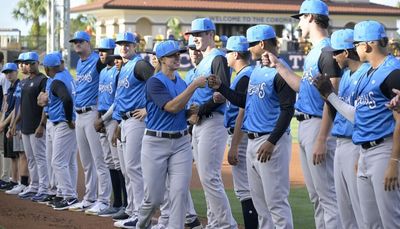 MLBPA asks baseball management to accept union for minor leaguers