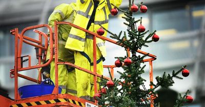 Glasgow Christmas trees set to cost council more than £3,500 each