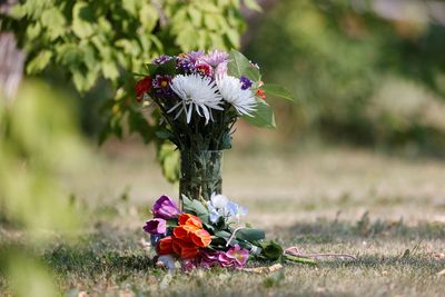 White House: Canada stabbing spree was 'senseless' and 'devastating'
