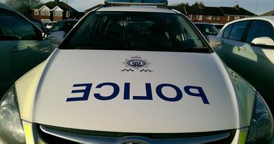 NINE emergency calls to police overnight leads to woman's arrest