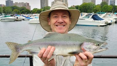 Chicago fishing, Midwest Fishing Report: Shoreline kings, pinks, smallmouth, catfish, largemouth