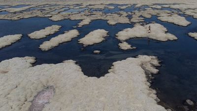 Mysterious white mounds spark alarm after appearing across Great Salt Lake: ‘We are concerned’