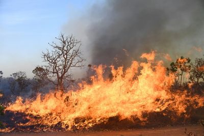 Wildfire hits Brasilia National Park amid drought