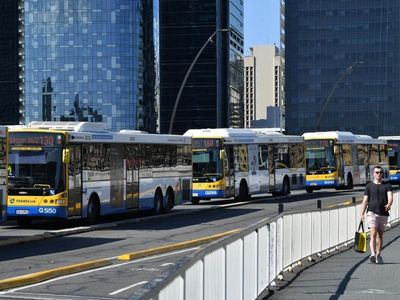 Queensland bus driver abuse rising: report