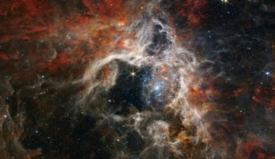 Webb telescope catches Tarantula Nebula in crisp detail