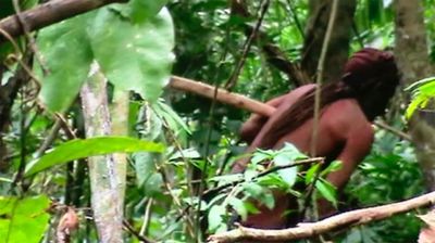'Man of the hole' dies, last known survivor of Amazon tribe