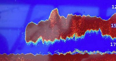 Researchers' shock at seeing '50ft prehistoric megalodon shark' on sea scan