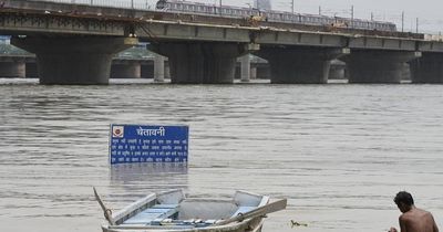 Delhi: Boy drowns in Yamuna during idol immersion