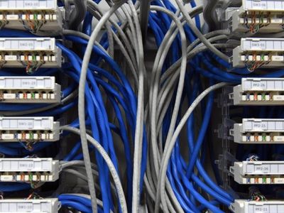 Watchdog highlights data access issues