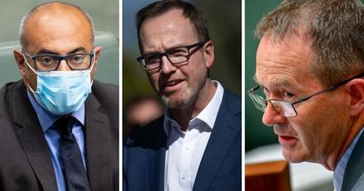 'Closed-shop politics': Greens, crossbenchers snubbed from powerful intelligence watchdog