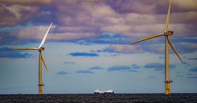 Oil and gas trade body calls for more offshore wind