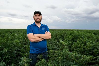 Hemp was supposed to save Texas farmers during a drought. It hasn’t yet.
