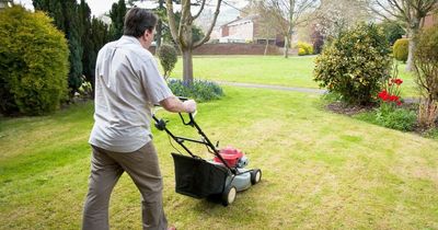 Resident's neighbour forcibly mows lawn then demands payment