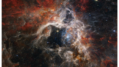James Webb helps to untangle the mysteries of the Tarantula Nebula