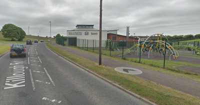 Downpatrick attack appeal after rock thrown at car hospitalising young woman