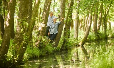 Environment Agency told to protect wetlands in landmark court case