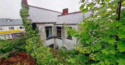 Crumbling house buried under overgrown jungle and full of damp sells for double its guide price