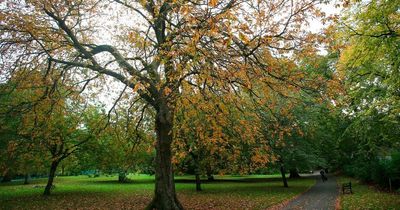 Popular Nottingham festival to take place with lots of activities and vegan stalls