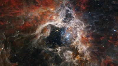 James Webb Telescope captures detailed new images of stars being born in Tarantula Nebula