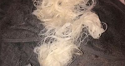 Hair expert warns against at-home dyeing - as one woman shares two-year nightmare