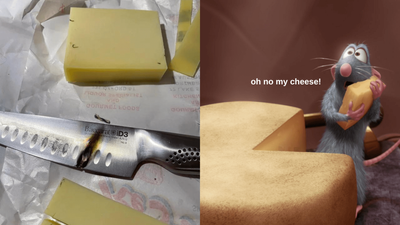 A Perth Woman Shared The Tale Of Her ‘Exploding’ Cheese I Swiss Her Nothing But The Best