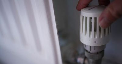 Plumber says cheap £15 B&Q device could slash 'thousands' off your heating bill