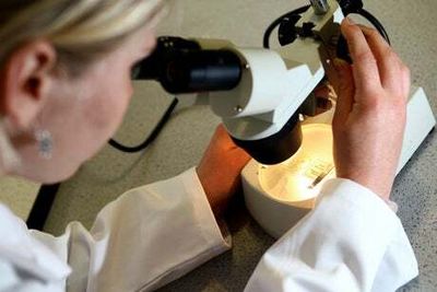 Tech & Science Daily: Woman can ‘smell Parkinson’s’