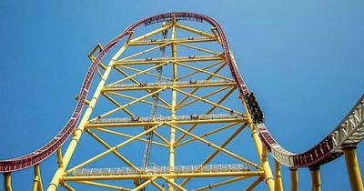 World's second-tallest rollercoaster closes after woman left screaming in agony