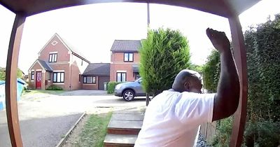 Doorbell camera captures Evri delivery driver pelting 'innocent cat' with stones