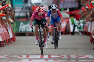 Colombia's Uran soars to Vuelta stage triumph as Roglic retires