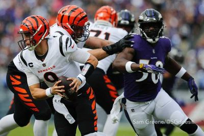 Just one expert picks Bengals to win AFC North over Ravens