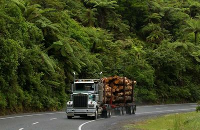 Forestry needs an urgent reset