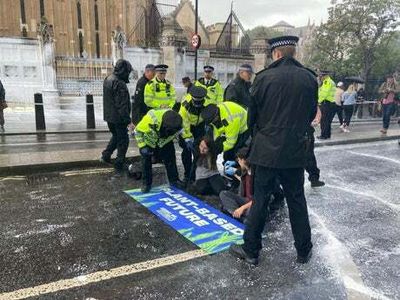 Who is Animal Rebellion? Ten people arrested after protesters douse gates of Parliament with paint