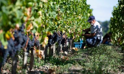 Vineyards await Saint-Émilion wine rankings after 10-year row over 2012 results