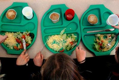 Scottish Government told to extend free school meals to all pupils urgently